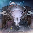 STRIVOR - La Esencia del Destino [���ޤ��դ�]