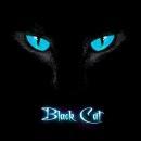 BLACK CAT - Studio Sessions 16 91
