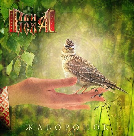 RVI MEKHA! - Skylark