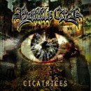 BATTLE CRY - Cicatrices