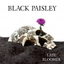 BLACK PAISLEY - Late Bloomer +4 (2022 Edition)