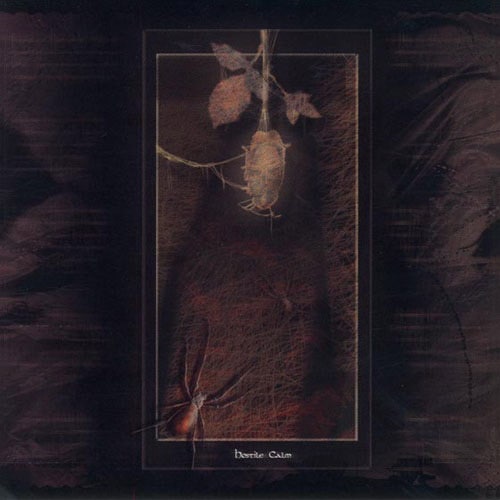 HOSTILE CALM - Hostile Calm
