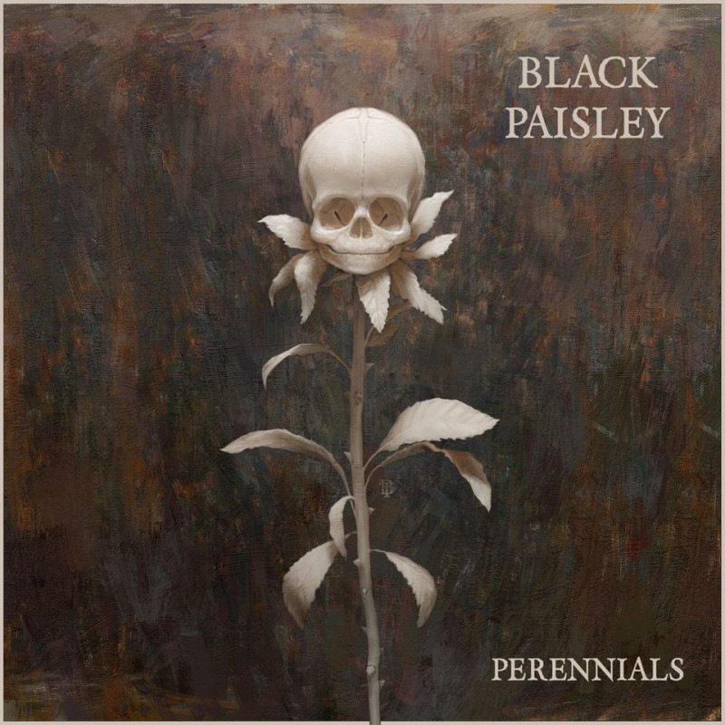 BLACK PAISLEY - Perennials | ハードロック | | BEYOND BATTLE RECORDS