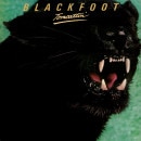 BLACKFOOT - Tomcattin' (2013 Remastered)