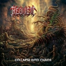 REQUIEM (Che) - Collapse Into Chaos (Digi)