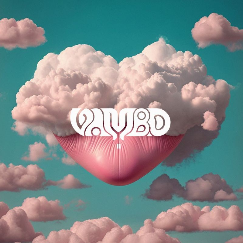 VAMBO - II