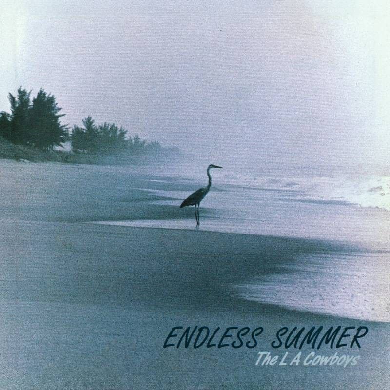 THE LA COWBOYS - Endless Summer (Reissue) 