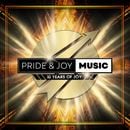 PRIDE & JOY MUSIC - 10 Years of Joy [V.A.] 