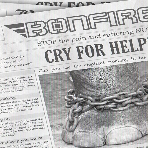 BONFIRE - Cry For Help! DIGI