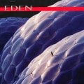 FORGOTTEN EDEN - Eden