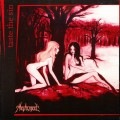 METALSTEEL - Taste the Sin