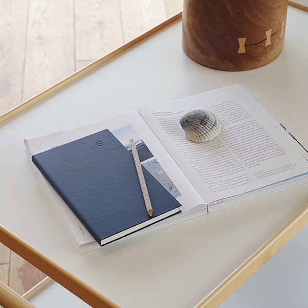 オーバドゥ Aubade Agenda 2009 写真集　カレンダー Aubade 】【オーバドゥ】《Boite a Desir》P027 ダーリンビキニ