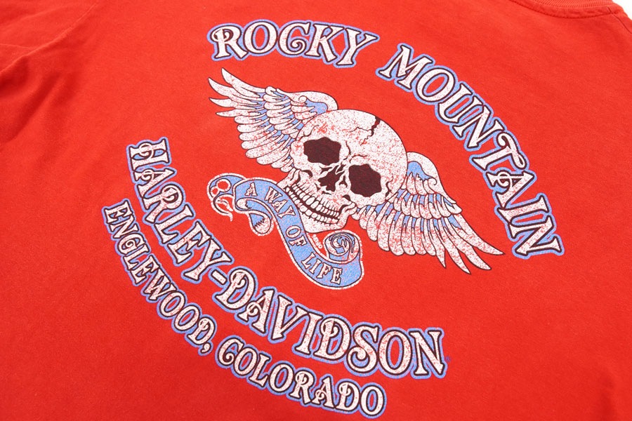 90's ハーレーダヴィッドソン ブルーフレイム ロングスリーブTシャツ 実寸(L位) ロッキーマウンテンスカル