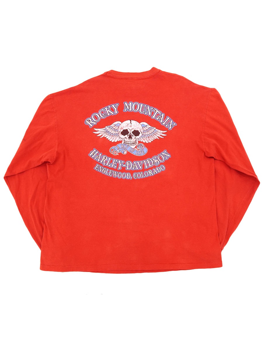 90's ハーレーダヴィッドソン ブルーフレイム ロングスリーブTシャツ 実寸(L位) ロッキーマウンテンスカル
