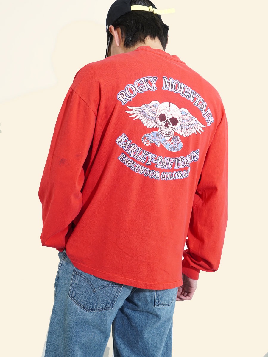 90's ハーレーダヴィッドソン ブルーフレイム ロングスリーブTシャツ 実寸(L位) ロッキーマウンテンスカル