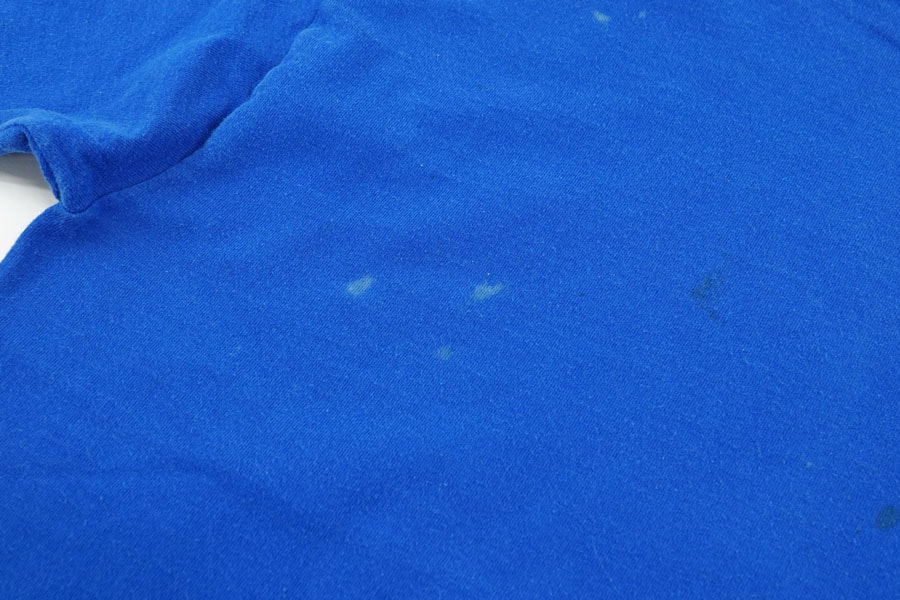 00's FRUIT OF THE LOOM ''Nestle×Haagen-Dazs'' 両面プリントTシャツ ブルー 表記(L)