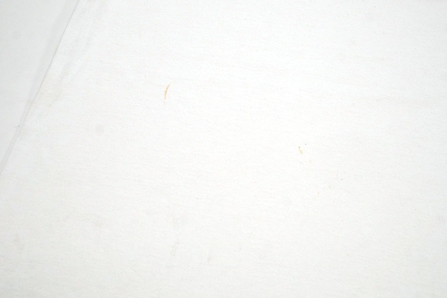 90'S～ TULTEX ''SHORTY'S'' T SHIRT WHITE (SIZE.X LARGE)