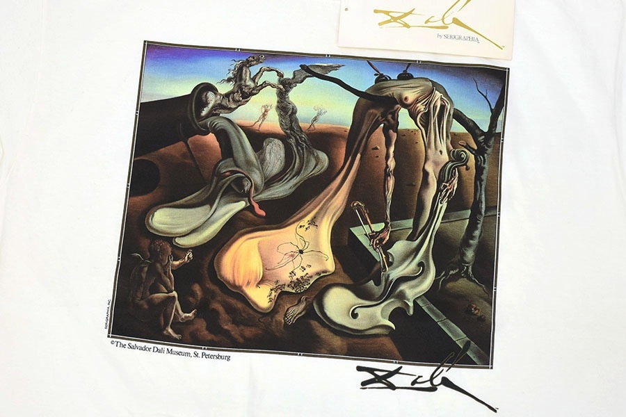 90's JERZEES SALVADOR DALI ''DADDY LONGLEGS OF THE EVENING-HOPE!'' アートTシャツ 白 NOS