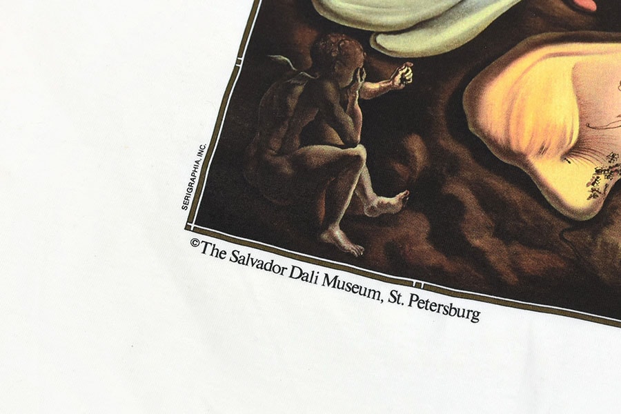 90's JERZEES SALVADOR DALI ''DADDY LONGLEGS OF THE EVENING-HOPE!'' アートTシャツ 白 NOS
