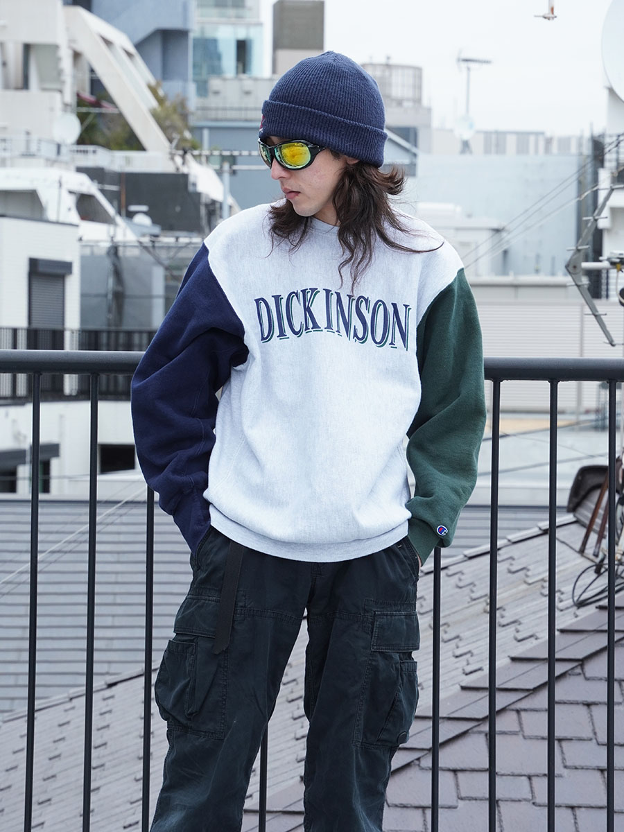 90's 刺繍タグ チャンピオンRW ''DICKINSON'' マルチカラー 表記(XL) USA製