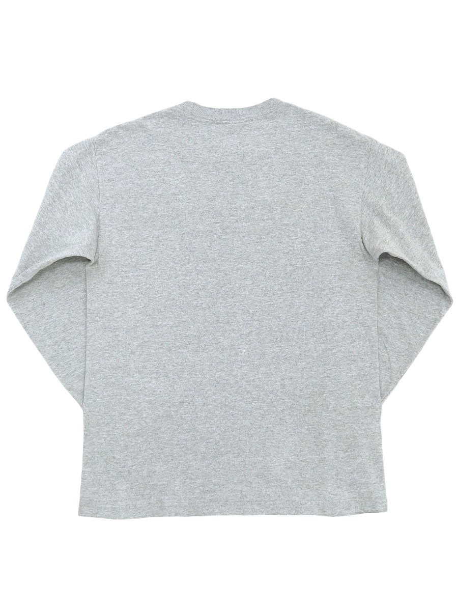90's NHS ''SANTA CRUZ SNOWBOARDS'' ロングスリーブTシャツ グレー 表記(L) USA製