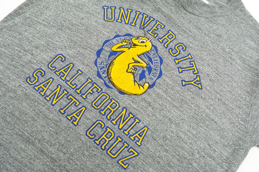 90's Wolf & Sons ''UNIVERSITY CALIFRONIA SANTA CRUZ'' 霜降りTシャツ 表記(XL) USA製