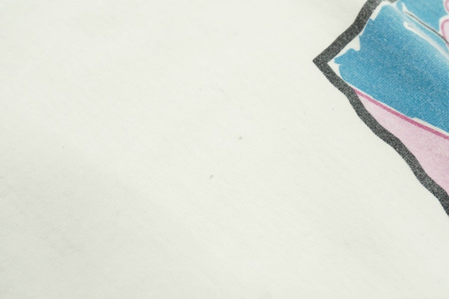 90's FRUIT OF THE LOOM ピンクパンサー パネル柄 Tシャツ 表記(L)