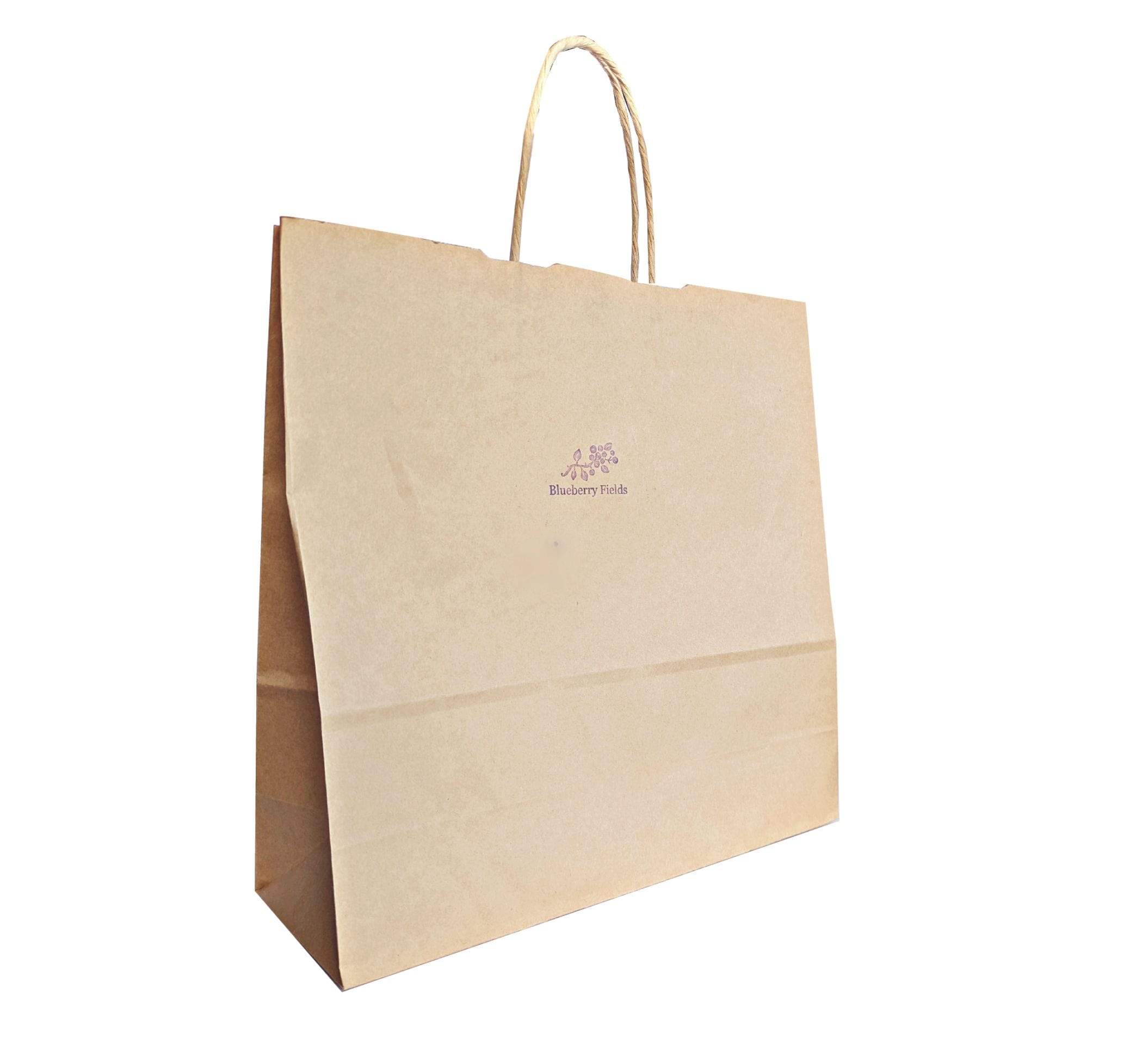 手提げ袋（大）