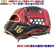 �ϥ�������� �𼰥������� �ʶ� 2026ǯ�ǿ� ������ OKG-1209 SR�С��˥󥰥���󥸡�SR�֥�å� ������� ��� GTK