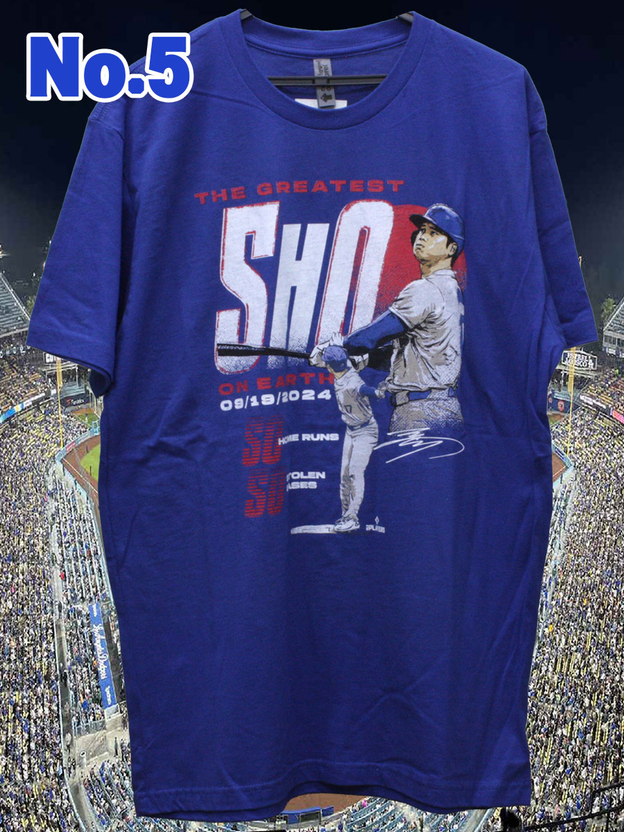 ��ë��ʿ 50-50ã����ǰT����� 500LEVEL ͢���� 2024 �ץ쥼��� ���쥯����� ��� GTK