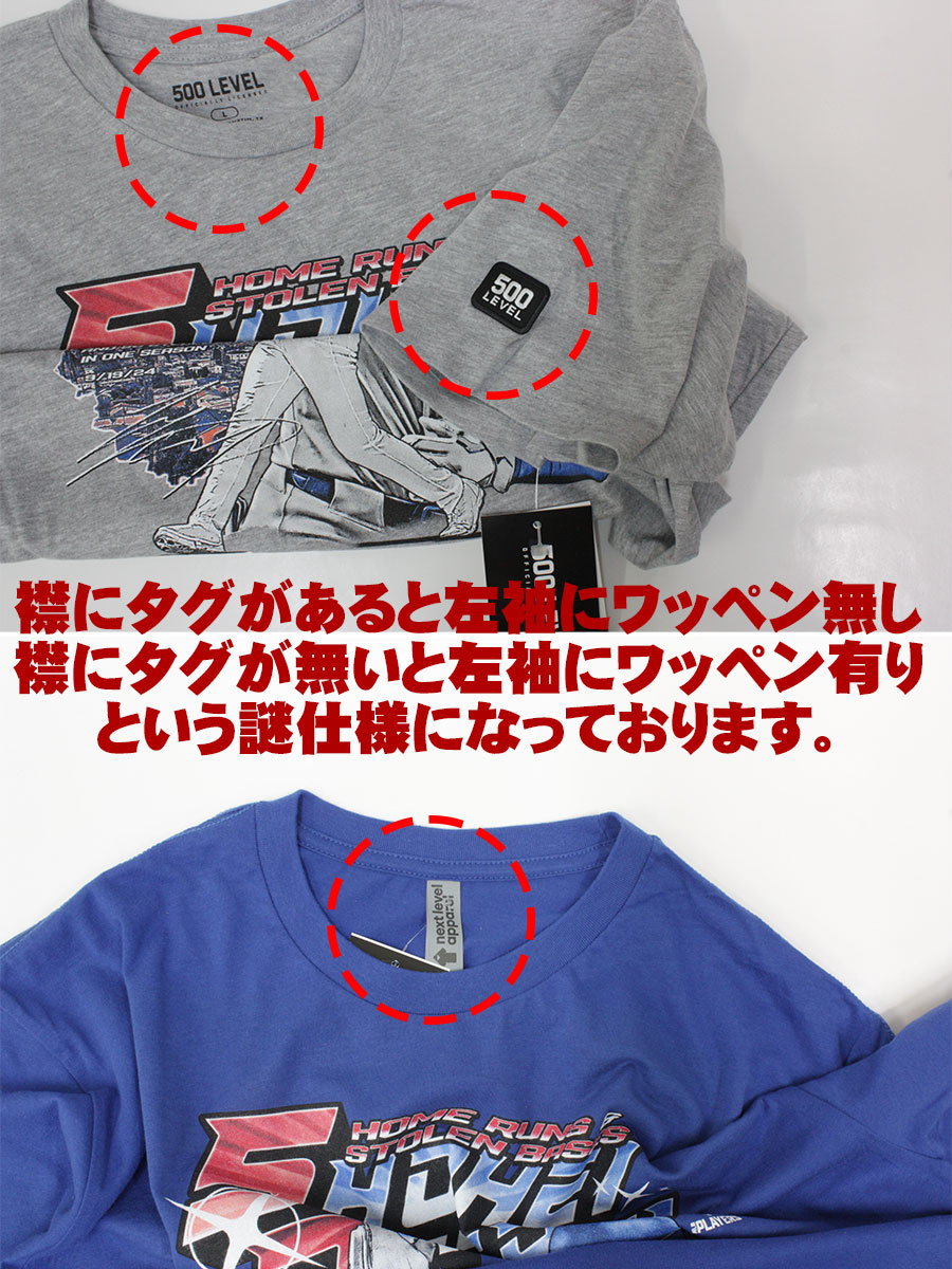 ��ë��ʿ 50-50ã����ǰT����� 500LEVEL ͢���� 2024 �ץ쥼��� ���쥯����� ��� GTK