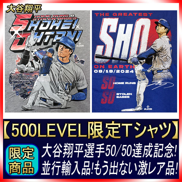 ��ë��ʿ 50-50ã����ǰT����� 500LEVEL ͢���� 2024 �ץ쥼��� ���쥯����� ��� GTK