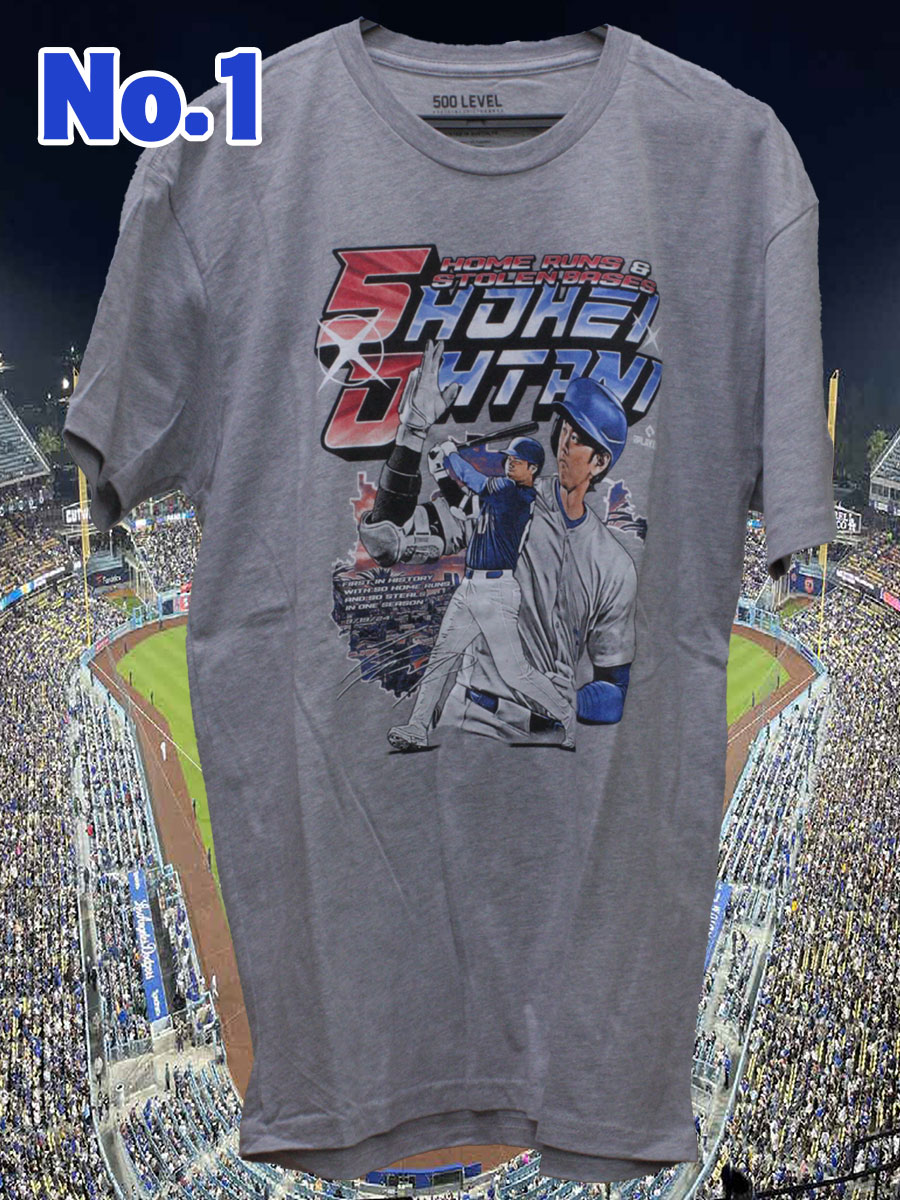 ��ë��ʿ 50-50ã����ǰT����� 500LEVEL ͢���� 2024 �ץ쥼��� ���쥯����� ��� GTK