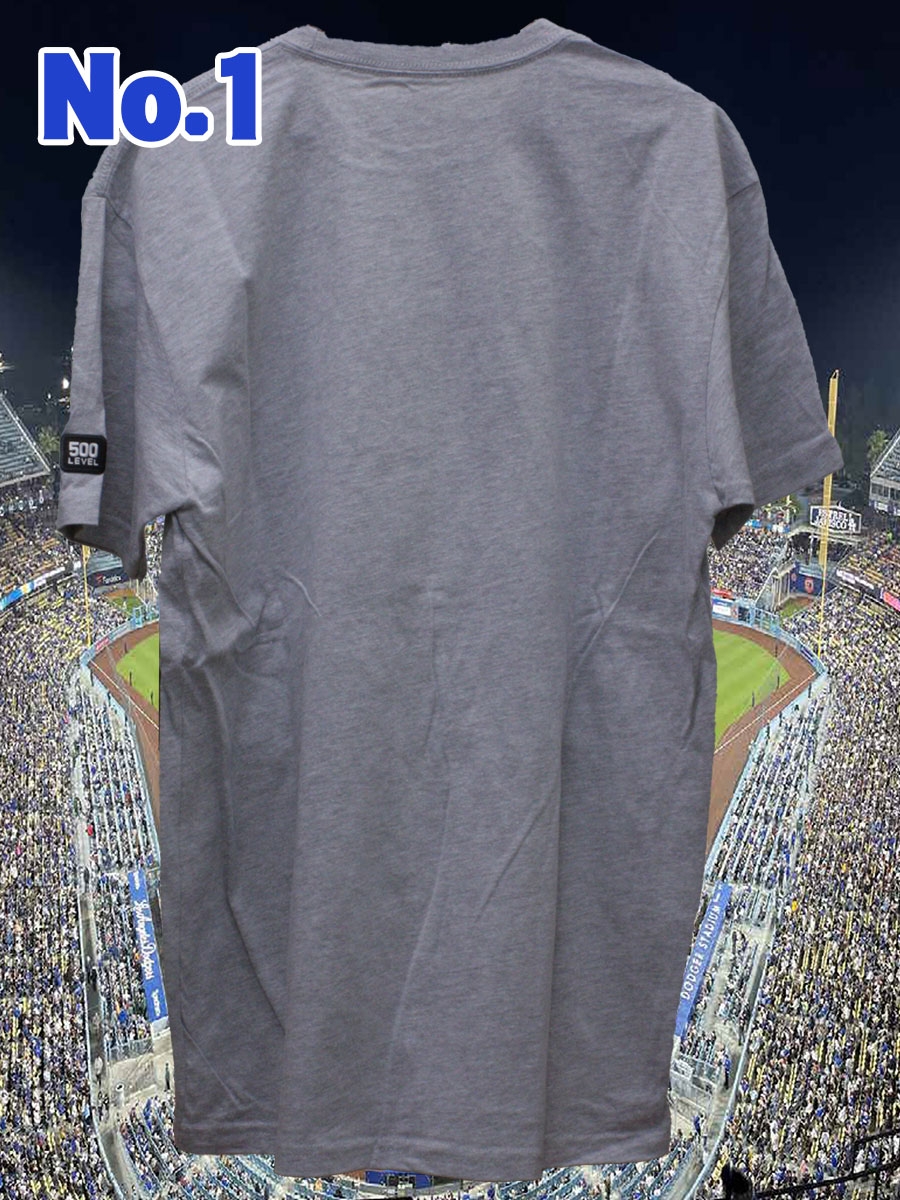 ��ë��ʿ 50-50ã����ǰT����� 500LEVEL ͢���� 2024 �ץ쥼��� ���쥯����� ��� GTK