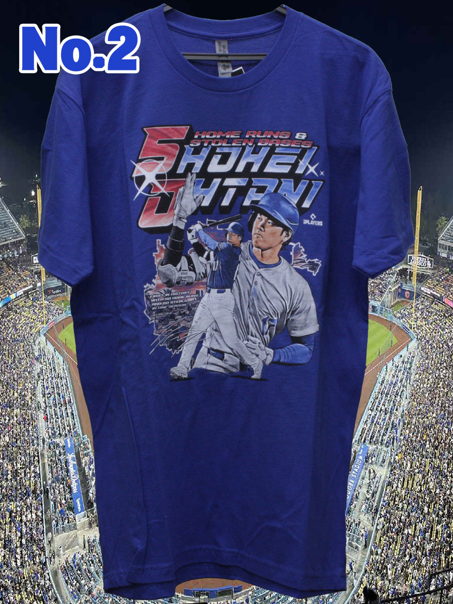 ��ë��ʿ 50-50ã����ǰT����� 500LEVEL ͢���� 2024 �ץ쥼��� ���쥯����� ��� GTK