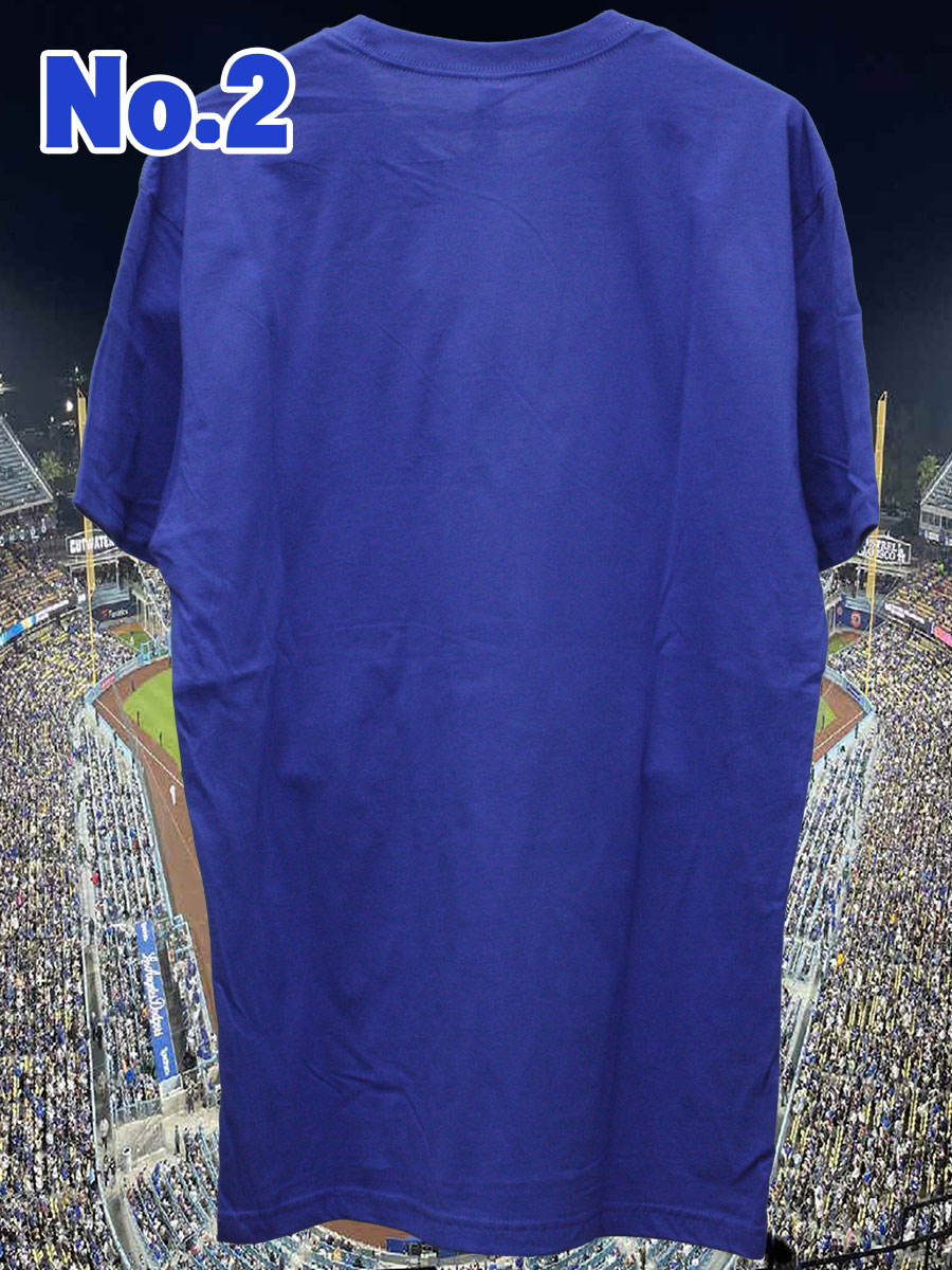 ��ë��ʿ 50-50ã����ǰT����� 500LEVEL ͢���� 2024 �ץ쥼��� ���쥯����� ��� GTK