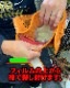 �����å����ꥹ  1��Ȥ��ڤ�ѥå� ����̵���ʤä�����֤����㥭���� 15g  GTK���ꥸ�ʥ�