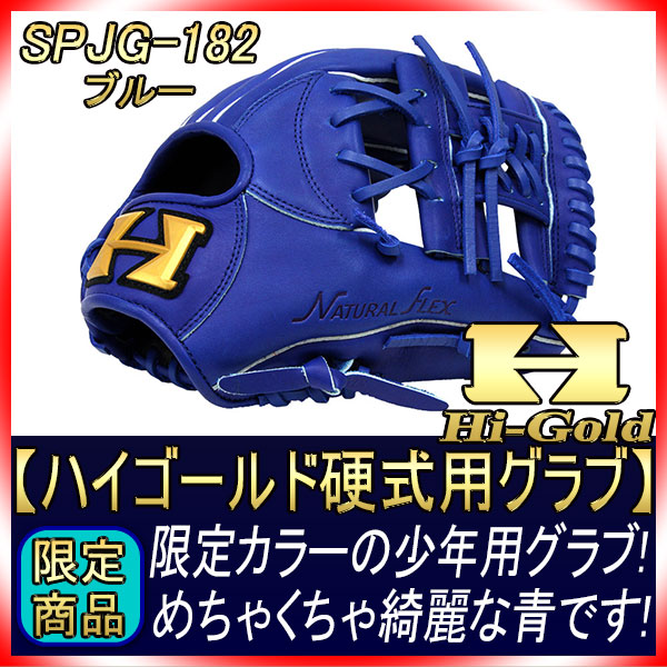 ハイゴールド 限定軟式グローブ 少年用 SPJG-182 ブルー 少年軟式