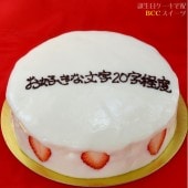 大阪 ヨーグルトケーキ 名入れ 6号 / 18cm