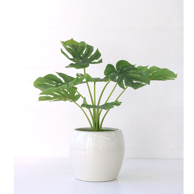 インテリアプランツ KM POT｜B-COMPANY公式オンラインショップ