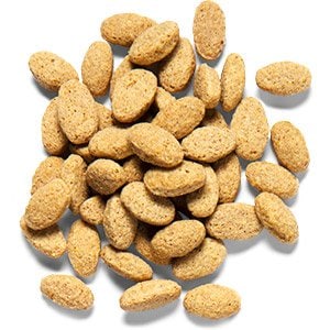 正規品】ZuPreem ズプリーム ナチュラル ML 1.4kg | 鳥類