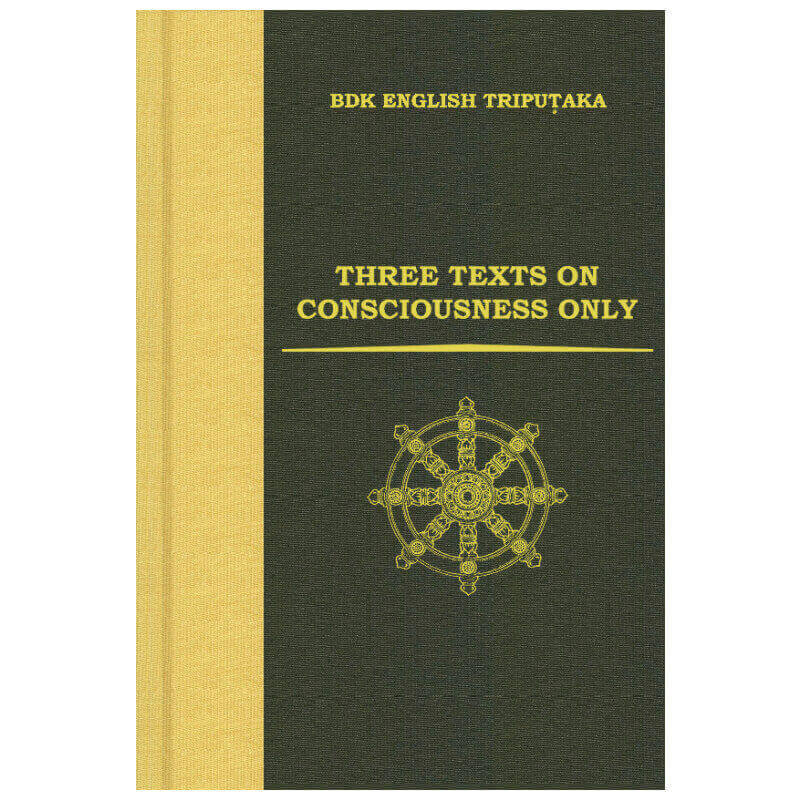 ������ͣ����ŵ�ҡ� THREE TEXTS ON CONSCIOUSNESS ONLY