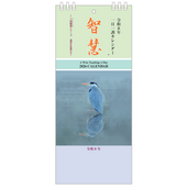 2026ǯ췱 