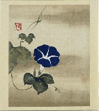 色紙〈朝顔図(絵手鑑のうち)〉酒井抱一|色紙|アートを飾る