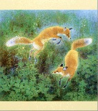SALE　色紙〈幻化〉山口華楊　通常価格より50%OFF|色紙|アートを飾る