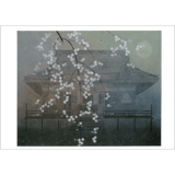 絵はがき〈春宵西行桜(勝持寺)〉木下育應 NB-59|ジャンルで選ぶ|絵はがき / ポストカード