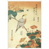 絵はがき〈鵤 白粉花〉葛飾北斎 TB-021|ジャンルで選ぶ|絵はがき / ポストカード