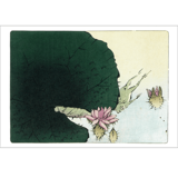 絵はがき〈対柳居画譜 蓮に蛙〉柴田是真 TB-040|ジャンルで選ぶ|絵はがき / ポストカード