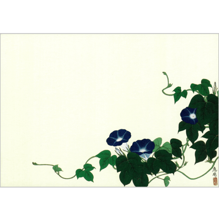 絵はがき〈朝顔図〉(部分) 円山応瑞 NA-73京都便利堂オンラインショップ