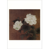 絵はがき〈国宝 紅白芙蓉図(白芙蓉)〉李迪 T-031|ジャンルで選ぶ|絵はがき / ポストカード